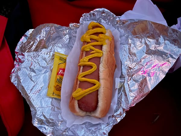(wet) hot dog american summer